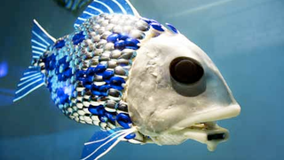 Schools of Robot Fish Will Soon Infest the Seas